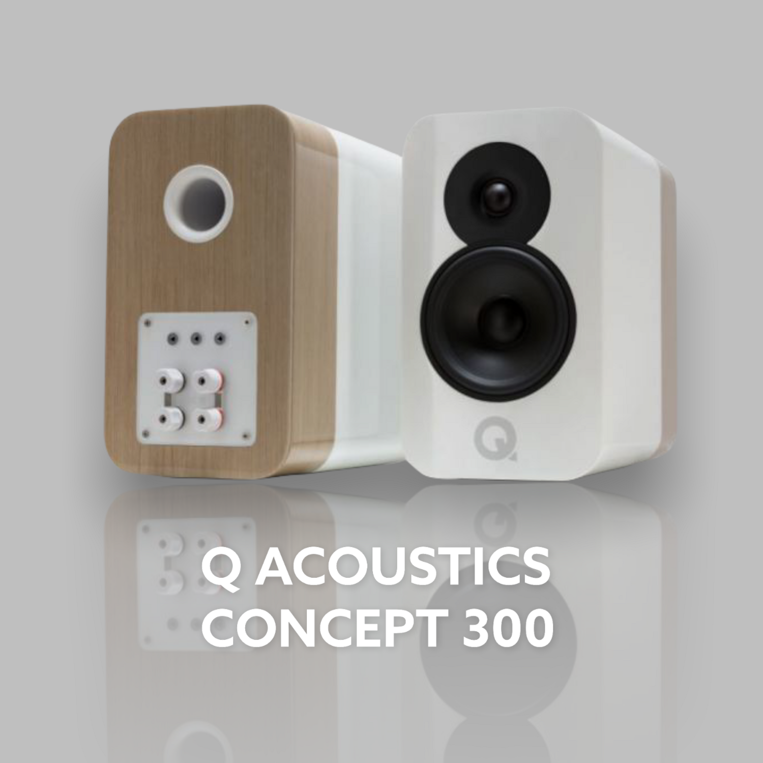 Q CONCEPT 300