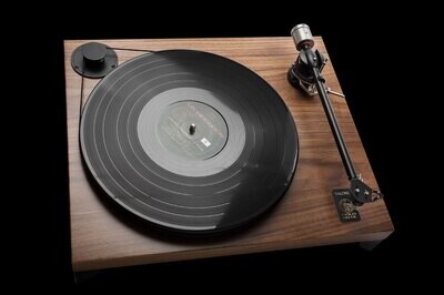 Gold Note   Valore Plus 425 Walnut
