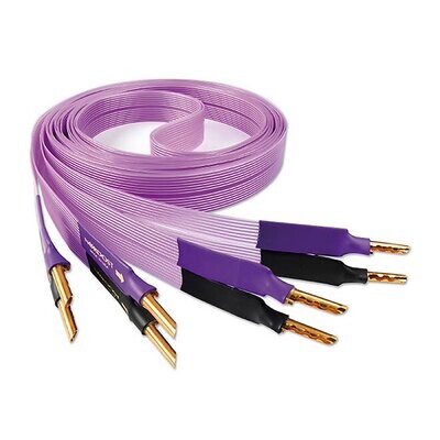 PURPLE FLARE