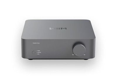 WiiM Vibelink Amp