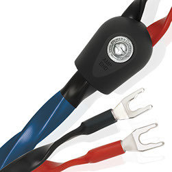 Oasis 8  potenza (3 metri) con term Bi-wire