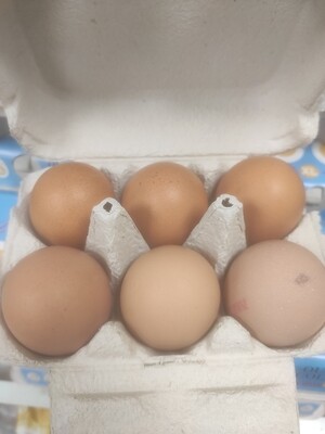 Ous  🥚🥚🥚
