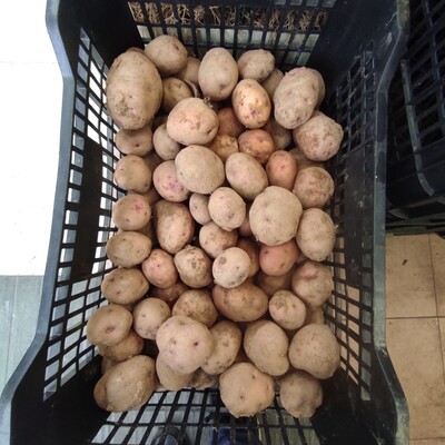Patata i moniato 🥔🥔🥔