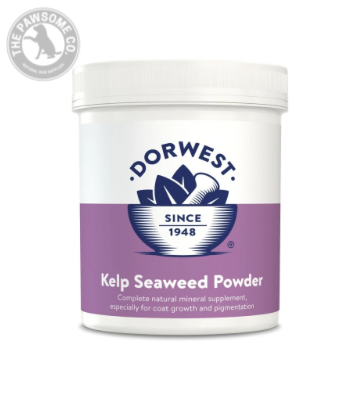 Kelp Seaweed Powder