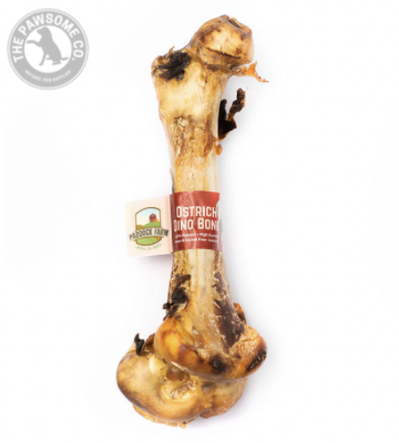 Ostrich Dino Bone