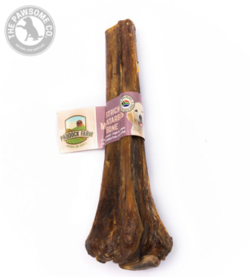 Ostrich Metatarsus Bone