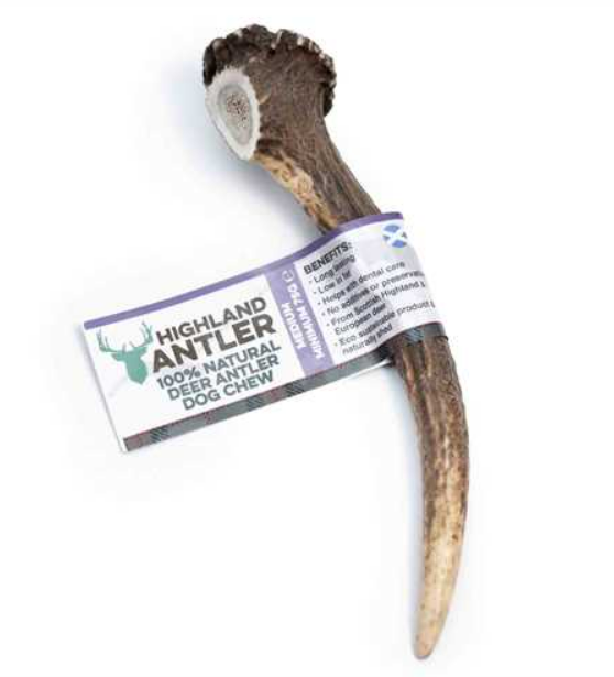 Antler (Medium)