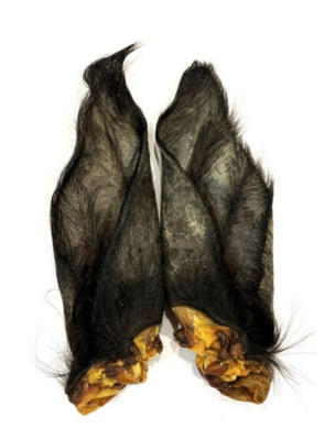 Hairy Buffalo Ears