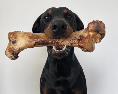 Bones &amp; Large Chews