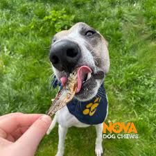 Lighter Nibbles