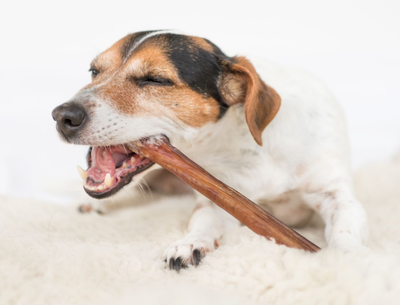 Long Lasting Chews