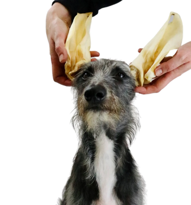 Ears