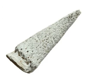 Cow Horn  Marrow