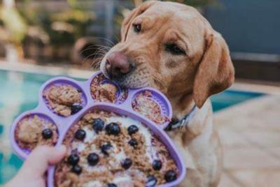TOPPING &amp; TREATS