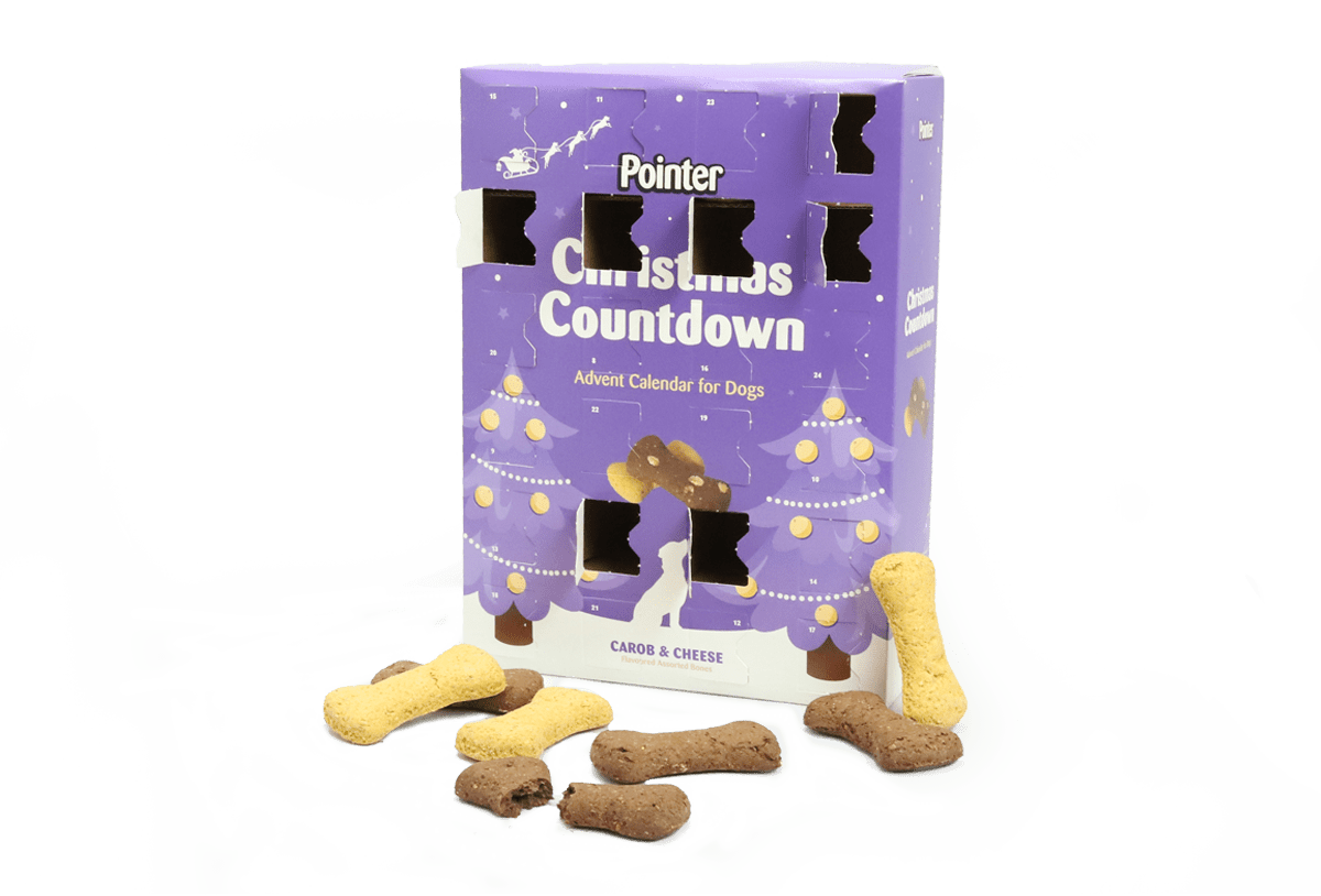 Pointer Advent Calendar