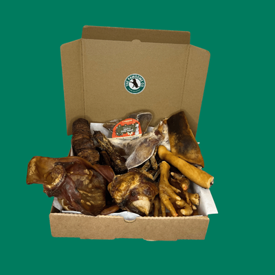 Treat Boxes
