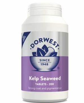 Dorwest Kelp Seaweed Tablets