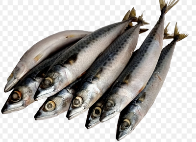 Whole Mackerel