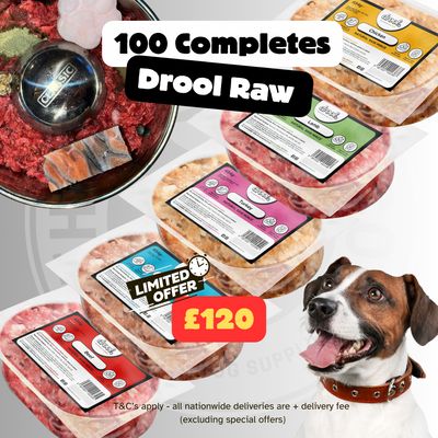 Drool Economy Mince - 100 Mixed Box