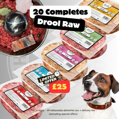 Drool Economy Mince - 20 Mixed Box