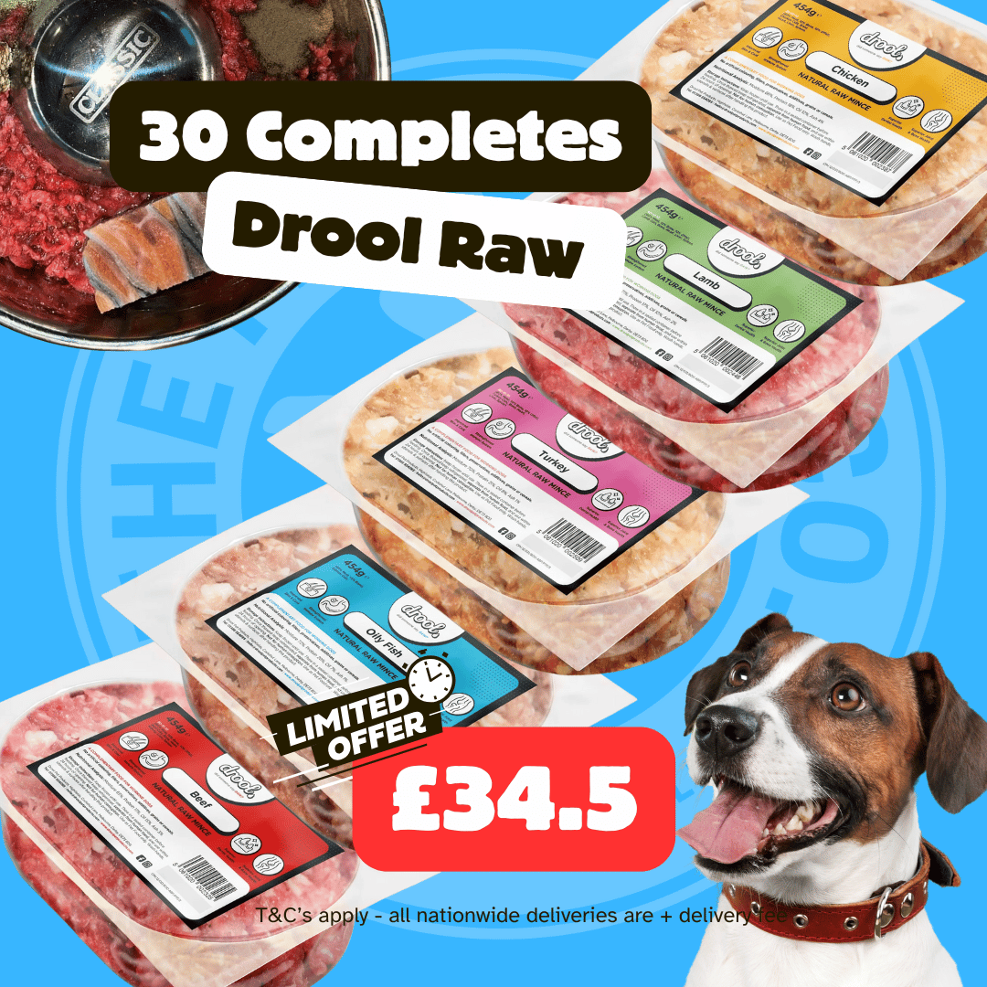 Drool Economy Mince - 30 Mixed Box