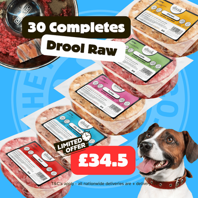 Drool Economy Mince - 30 Mixed Box