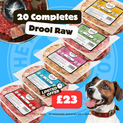 Drool Economy Mince - 20 Mixed Box