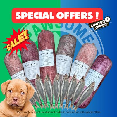 Special Offers