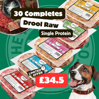 Drool Economy Mince - 30 Single Protein Box