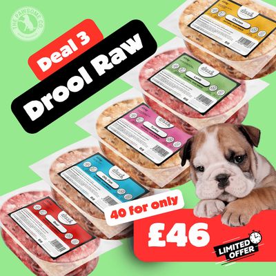 Drool Economy Mince - 40 Mixed Box