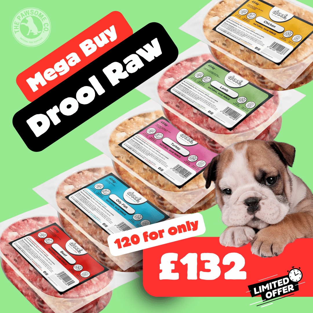 Drool Economy Mince - 120 Mixed Box