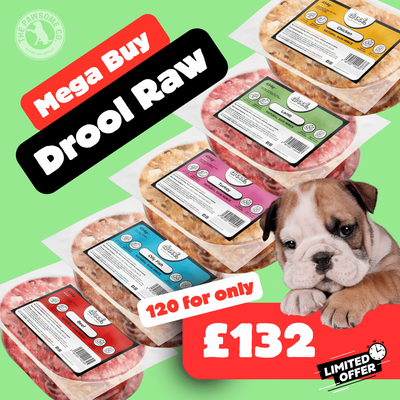 Drool Economy Mince - 120 Mixed Box