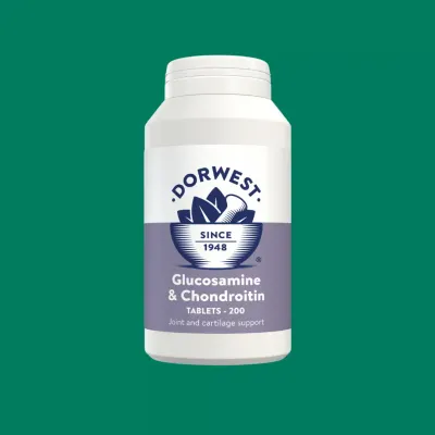 Supplements