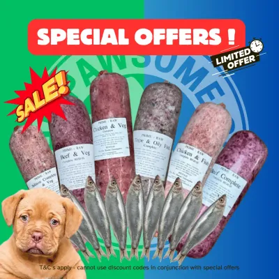 Special Offers