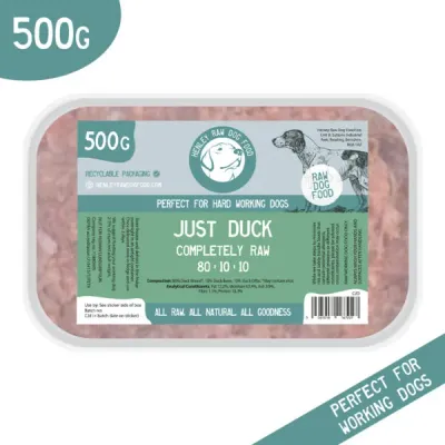 Single Source Duck
