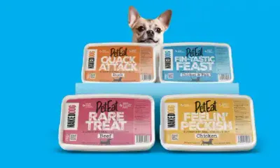 Naked Dog PetEat 80/10/10 Minces - 250g Tubs