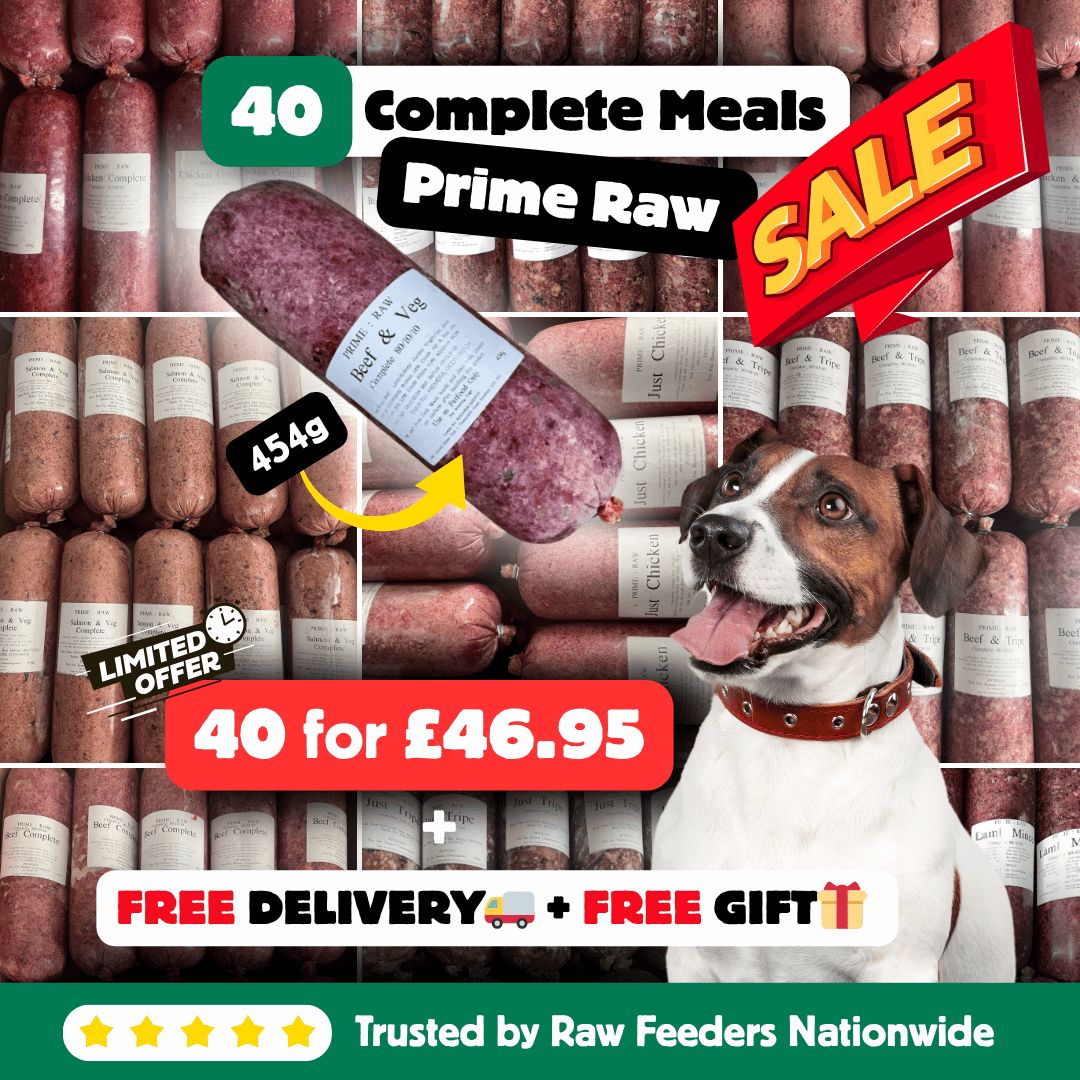 🎁 40 Raw Rolls + Free Treats – Delivered FREE &amp; Frozen Fresh” High-protein | Grain-free | Dog-approved | Limited FB Offer