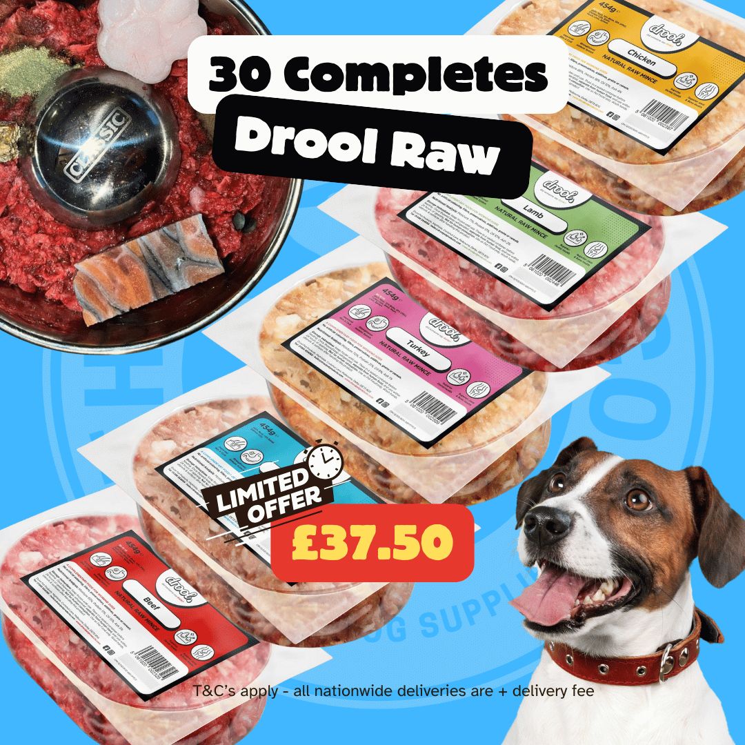 Drool Economy Mince - 30 Mixed Box