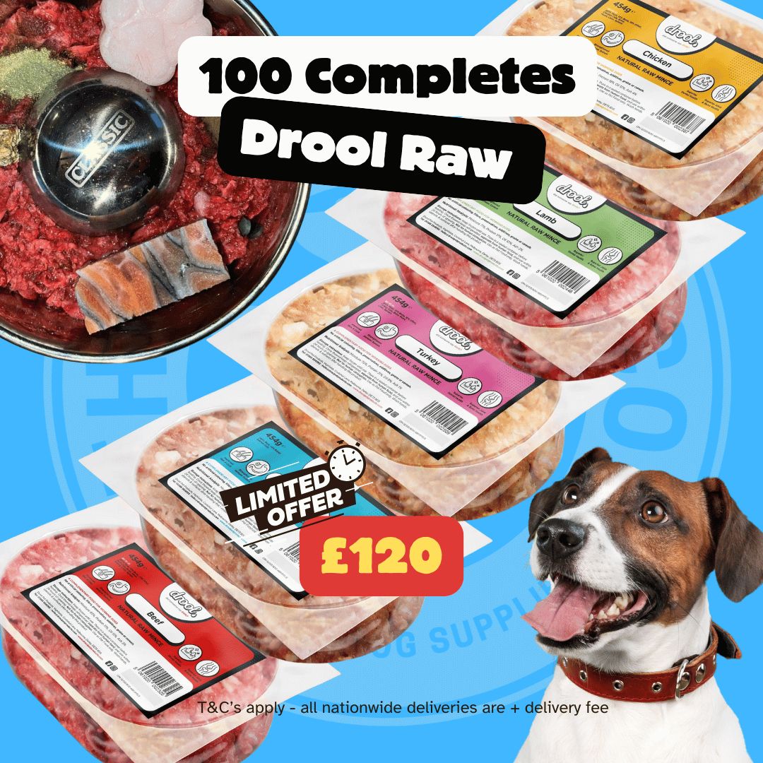 Drool Economy Mince - 100 Mixed Box