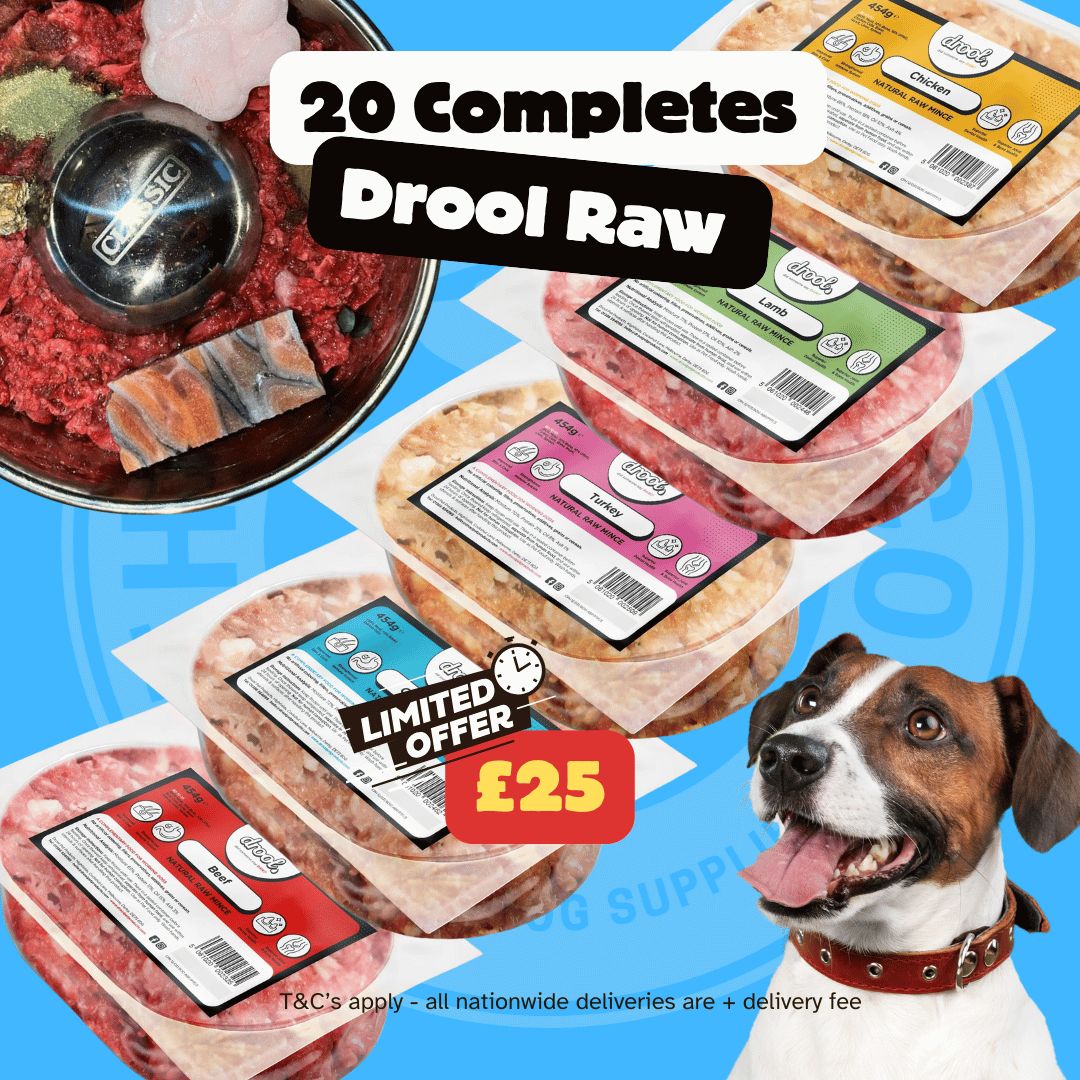 Drool Economy Mince - 20 Mixed Box