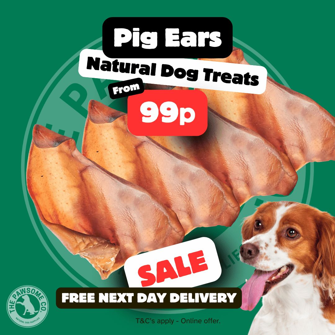 🎁 100 PIG EARS + (BULK BUY) - SAVE £££ - FROM JUST 99p PER EAR - LIMITED STOCK! - 🚚FREE DELIVERY 🚚