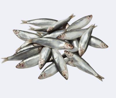 Frozen Whole Sprats -1kg