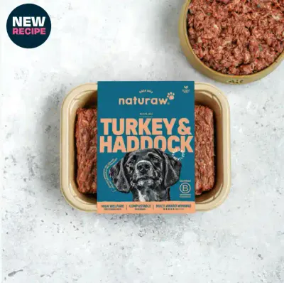 Turkey &amp; Haddock