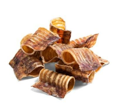 Hollow Trachea (12cm)