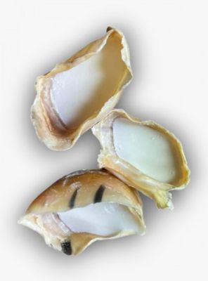 Sheep Fat Filled Cows Hoof