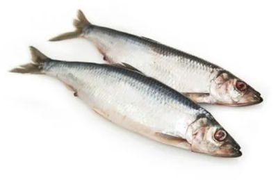 Whole Herring 1kg