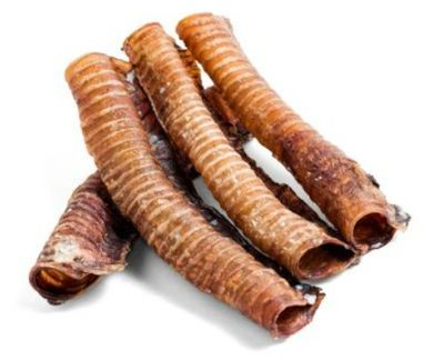 XL Hollow Trachea (30cm)