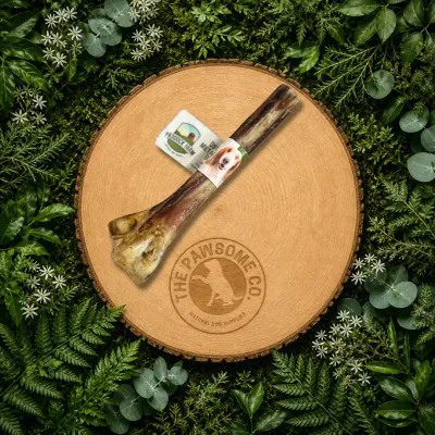 Ostrich Metatarsus Bone Dog Chew – 100% Natural Long-Lasting Treat