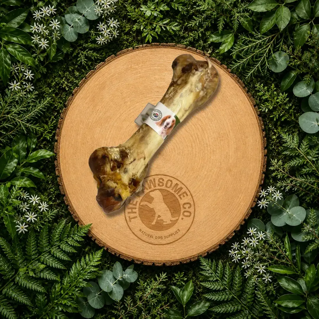 Ostrich Dino Bone Dog Chew – 100% Natural Long-Lasting Treat