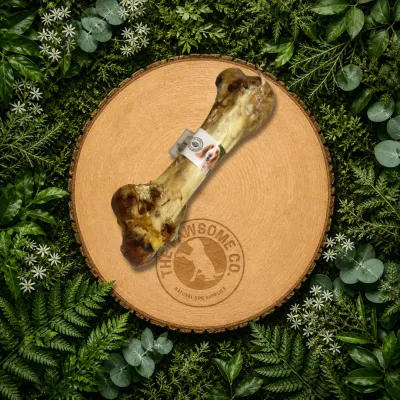 Ostrich Dino Bone Dog Chew – 100% Natural Long-Lasting Treat